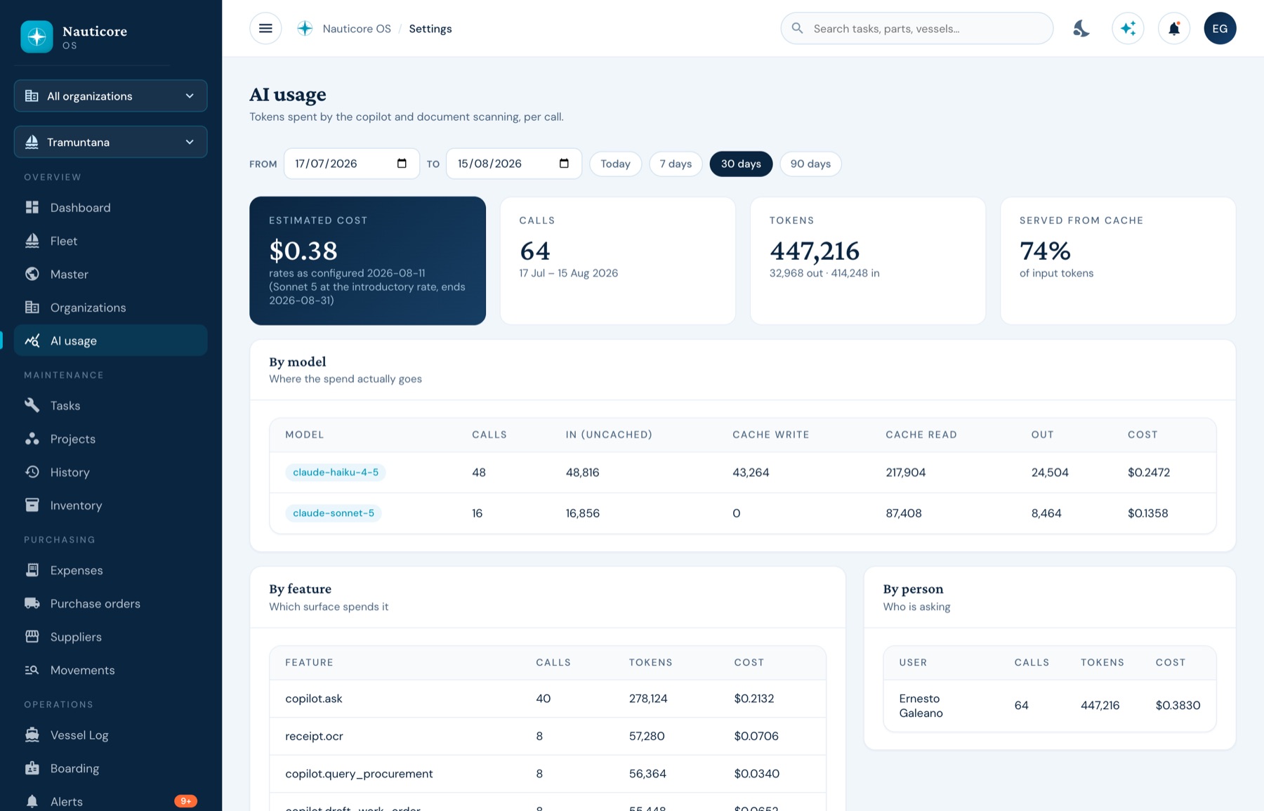 The AI usage screen with calls, tokens and cost by model and person.